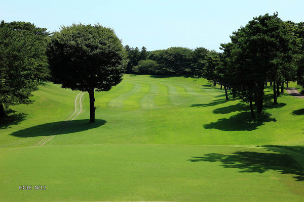 _ސ쌧s̒ÈˌĂ̎ӊ