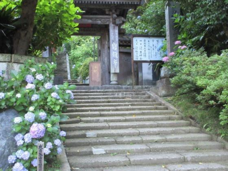 _ސ쌧qsv5ڂ̓yn̎ӊ