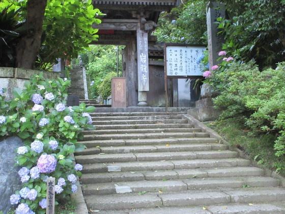 _ސ쌧qsv5ڂ̓yn̎ӊ