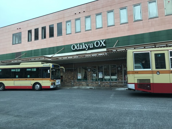 _ސ쌧asߊ8ڂ̓yn̎ӊ