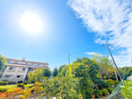 _ސ쌧s3ڂ̒Ã}V̏Z˂̒]ʐ^