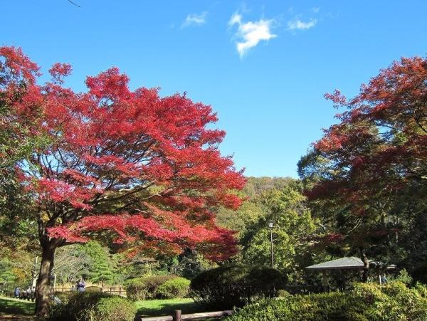 _ސ쌧lsq掬2ڂ̒Ã}V̎ӊ