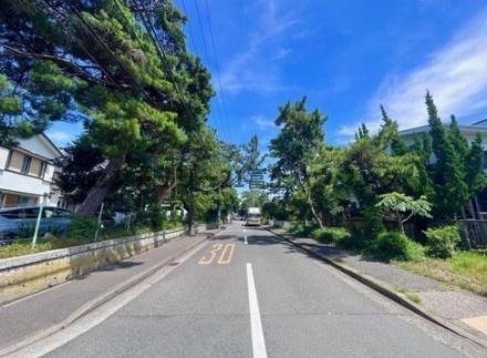 _ސ쌧su1ڂ̓yn̑OʓH܂ތnʐ^