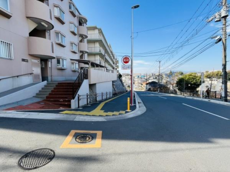 �_�ސ쌧����s�P�s1���ڂ̒��Ã}���V�����̂��̑�