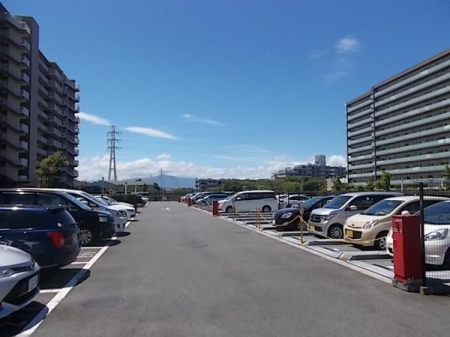 _ސ쌧s 5526-20̒Ã}V̂̑