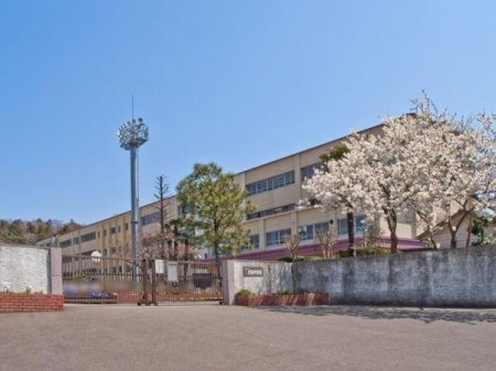 _ސ쌧s݂2ڂ̐VzˌĂ̎ӊ