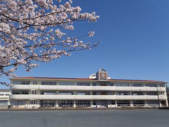 _ސ쌧sғC1ڂ̒Ã}V̎ӊ