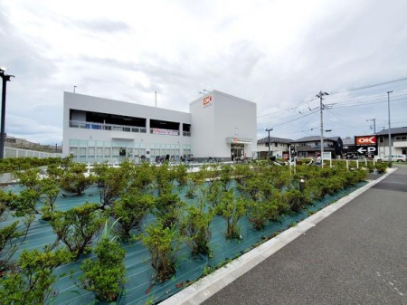 _ސ쌧sH2ڂ̓yn̎ӊ