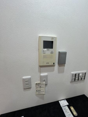 �_�ސ쌧������s�����C�݂̒��Ã}���V�����̂��̑�����