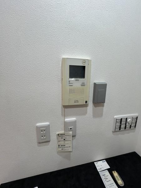 �_�ސ쌧������s�����C�݂̒��Ã}���V�����̂��̑�����