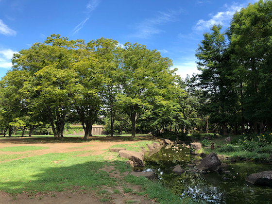 _ސ쌧s̐VzˌĂ̎ӊ