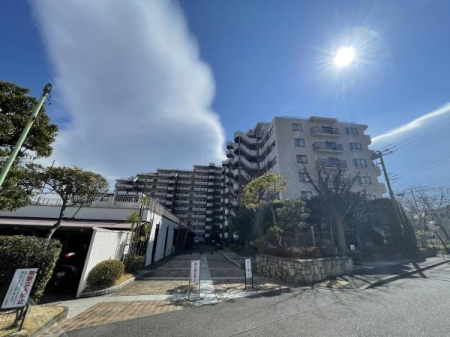 _ސ쌧sh 396̒Ã}V̂̑n