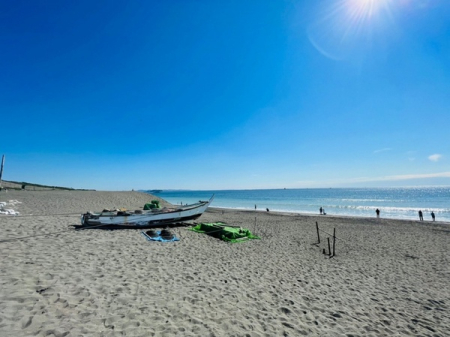 _ސ쌧sCݓ4ڂ̐VzˌĂ̎ӊ