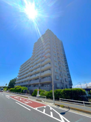 _ސ쌧s΂l̒Ã}V̂̑n