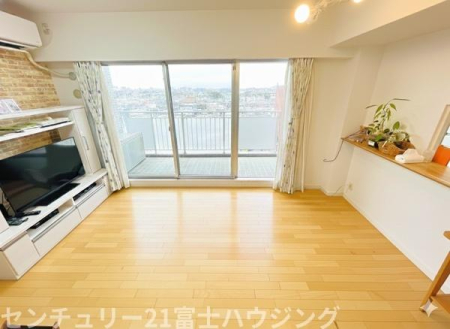 �_�ސ쌧���ˎs俕��̒��Ã}���V�����̃��r���O