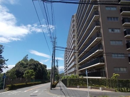 _ސ쌧s 5526-20̒Ã}V̂̑