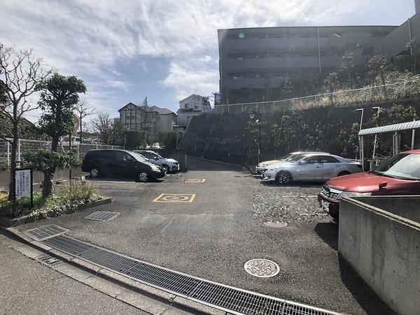 �_�ސ쌧����s�T��� 797-2�̒��Ã}���V�����̉摜