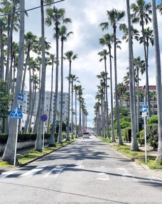 �_�ސ쌧���q�s����6���ڂ̒��È�ˌ��Ă̎��ӊ�