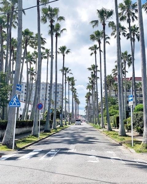 �_�ސ쌧���q�s����6���ڂ̒��È�ˌ��Ă̎��ӊ�