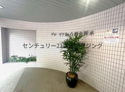 _ސ쌧qs{1ڂ̒Ã}ṼGgX