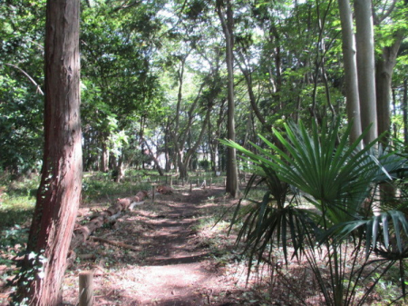 �_�ސ쌧����s����̐V�z��ˌ��Ă̎��ӊ�