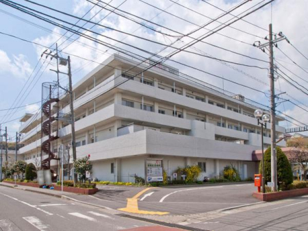 _ސ쌧qsqR2ڂ̓yn̎ӊ