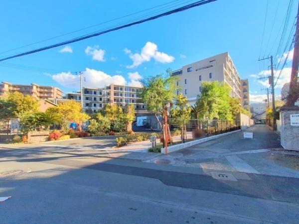 �_�ސ쌧������s�����̒��Ã}���V�����̉摜