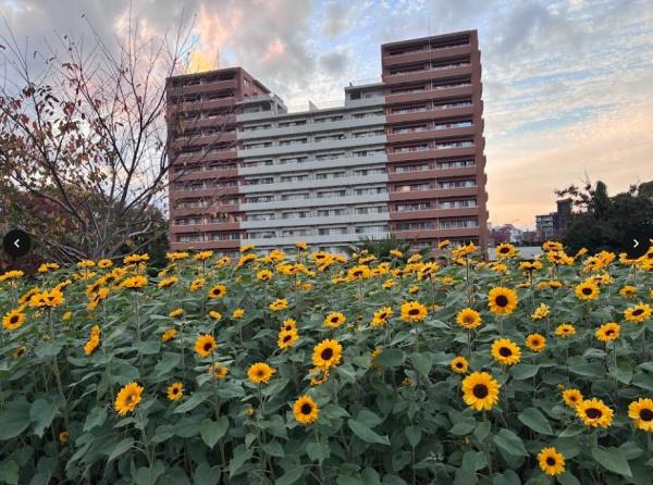 �_�ސ쌧���Ԏs�΃P�u4���ڂ̒��Ã}���V�����̌��n�O�ώʐ^