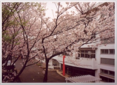 �_�ސ쌧���q�s�R��̓y�n�̎��ӊ�