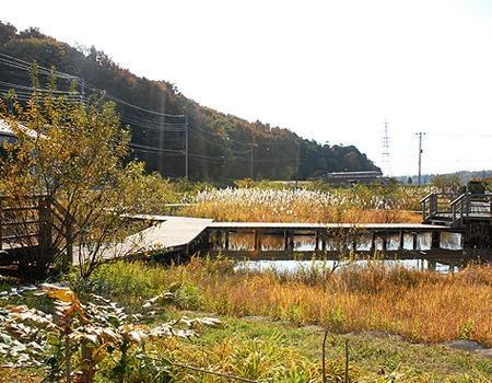 �_�ސ쌧����s�P�s��2���ڂ̒��Ã}���V�����̎��ӊ�