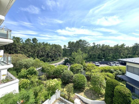 �_�ސ쌧������s���C�ݓ�6���ڂ̒��Ã}���V�����̏Z�˂���̒��]�ʐ^