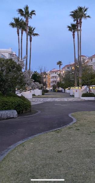 �_�ސ쌧������s���C�ݓ�6���ڂ̒��Ã}���V�����̂��̑����p��