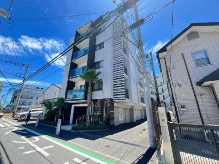 �_�ސ쌧������s�{�h���̒��Ã}���V�����̂��̑����n