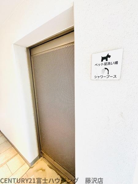 �_�ސ쌧������s�{�h���̒��Ã}���V�����̂��̑����p��