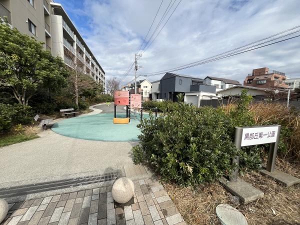 �_�ސ쌧���ˎs�����u�̒��Ã}���V�����̉摜