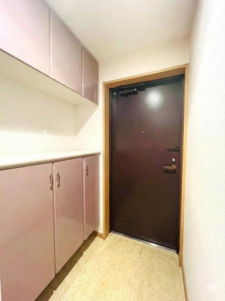 �_�ސ쌧������s���v�ۂ̒��Ã}���V�����̌���