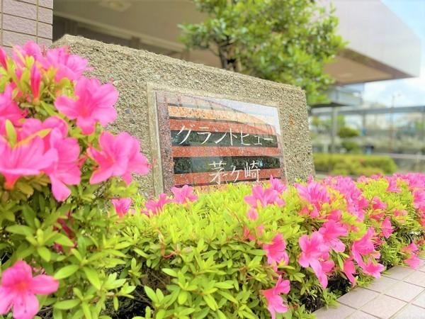 �_�ސ쌧������s���v�ۂ̒��Ã}���V�����̂��̑����n