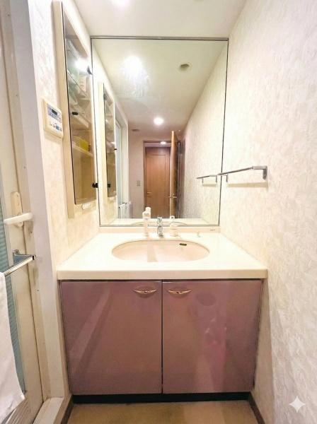 �_�ސ쌧������s���v�ۂ̒��Ã}���V�����̐��ʑ�E���ʏ�