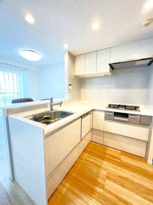 �_�ސ쌧����s���3���ڂ̒��Ã}���V�����̃L�b�`��