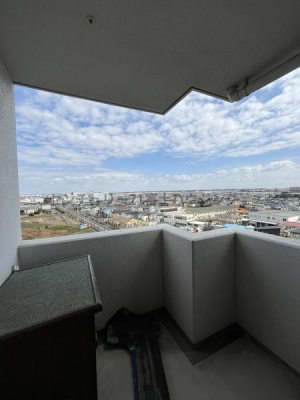 �_�ސ쌧������s���h�̒��Ã}���V�����̂��̑�