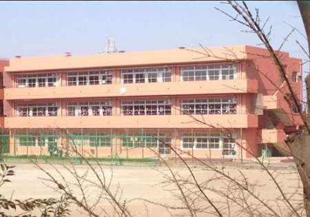 �_�ސ쌧���l�s�s�}��`�c��5���ڂ̒��Ã}���V�����̎��ӊ�