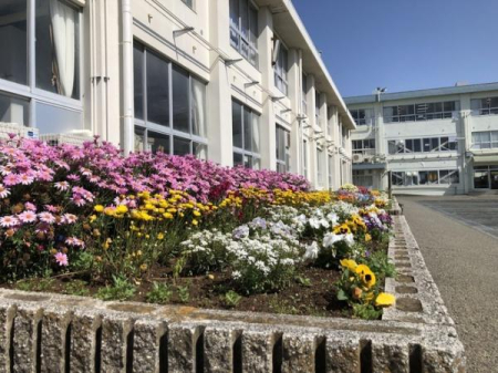 �_�ސ쌧������s�������̓y�n�̎��ӊ�