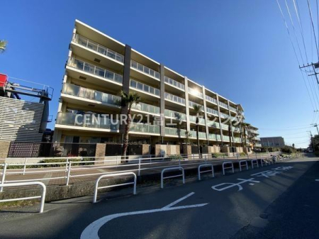 神奈川県茅ヶ崎市汐見台の中古マンションの現地外観写真