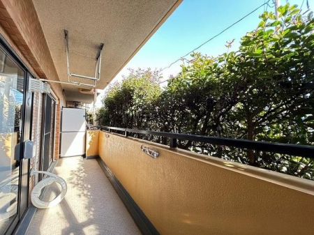 �_�ސ쌧����s�ΐ�5���ڂ̒��Ã}���V�����̃o���R�j�[