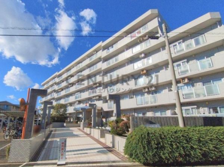 �_�ސ쌧������s�Ђ΂肪�u�̒��Ã}���V�����̌��n�O�ώʐ^