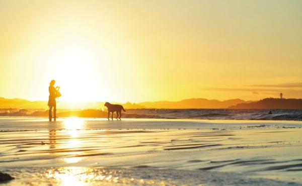 �_�ސ쌧������s���C�ݓ�4���ڂ̒��Ã}���V�����̎��ӊ�