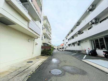 �_�ސ쌧������s�{�h���̒��Ã}���V�����̉摜