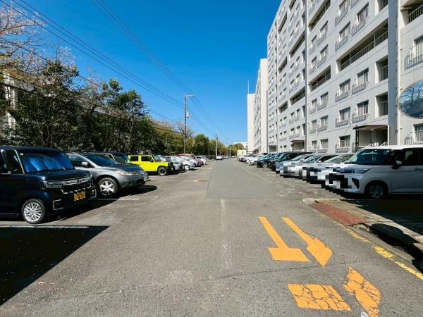 �_�ސ쌧���q�s���{�̒��Ã}���V�����̉摜