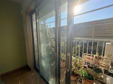 �_�ސ쌧���l�s�s�}��`�c��5���ڂ̒��Ã}���V�����̂��̑�