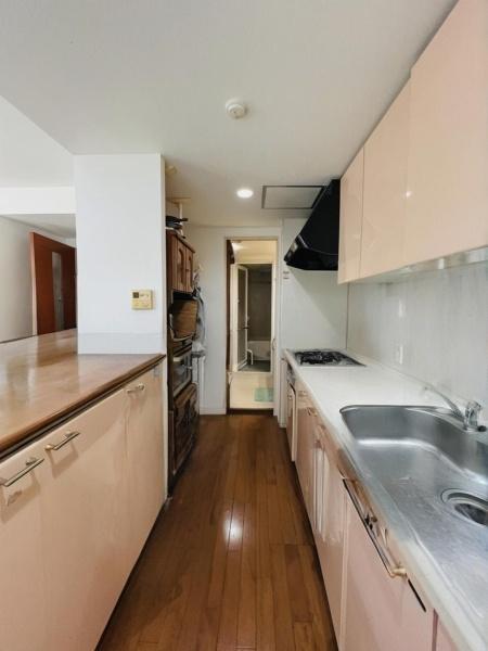 �_�ސ쌧����s���3���ڂ̒��Ã}���V�����̃L�b�`��